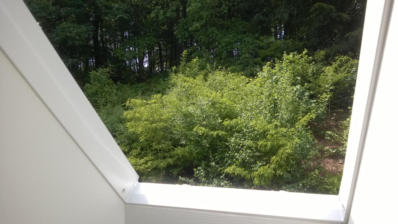 Moselundgaard B/B Og Hestehotel Engesvang Экстерьер фото